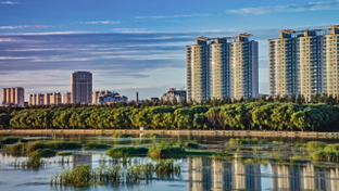 A public database of future heat stress in 140 cities to examine the potential for heat reduction via climate-smart urban development