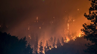 How can event attribution science underpin financial decisions on Loss and Damage?