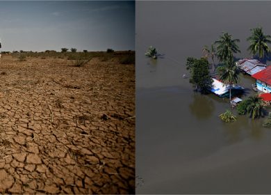 A year of climate extremes: a case for Loss & Damage at COP23